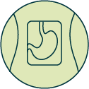 ALU_Icon_X-Ray_green